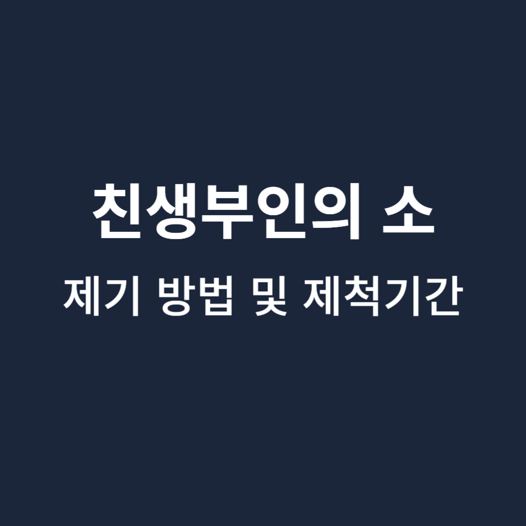 친생부인-방법-제척기간